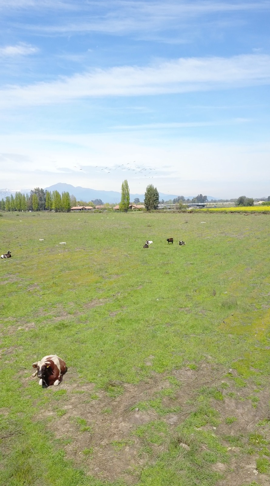 Imagen 3 El Santuario