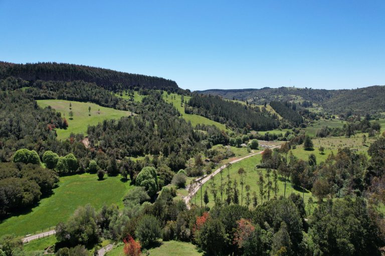 Imagen principal Brisas de Fresia