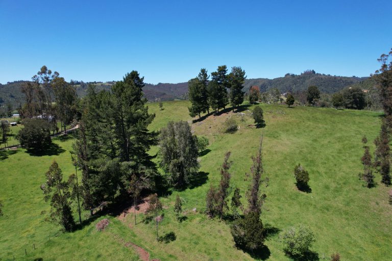 Imagen 1 Brisas de Fresia