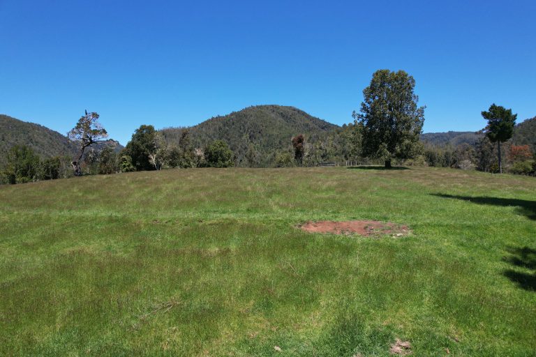 Imagen 2 Brisas de Fresia