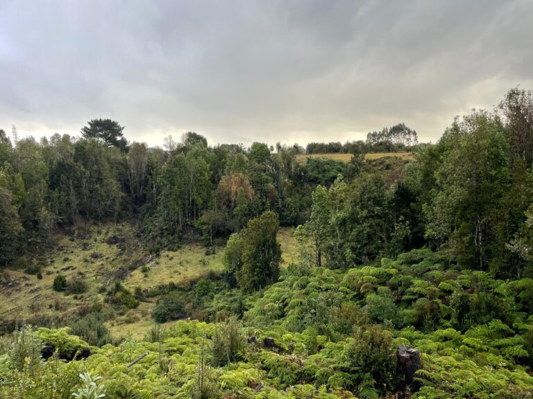 Imagen 1 Lomas de Pargua