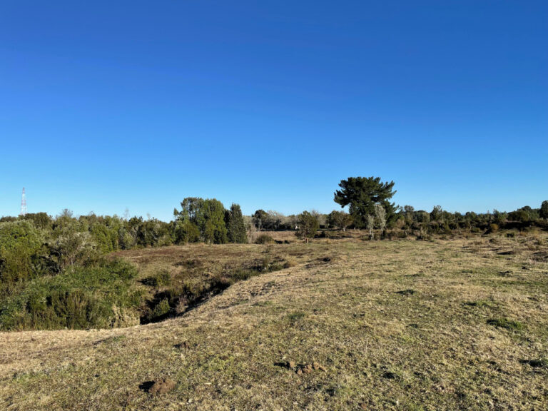 Imagen 3 Lomas de Pargua