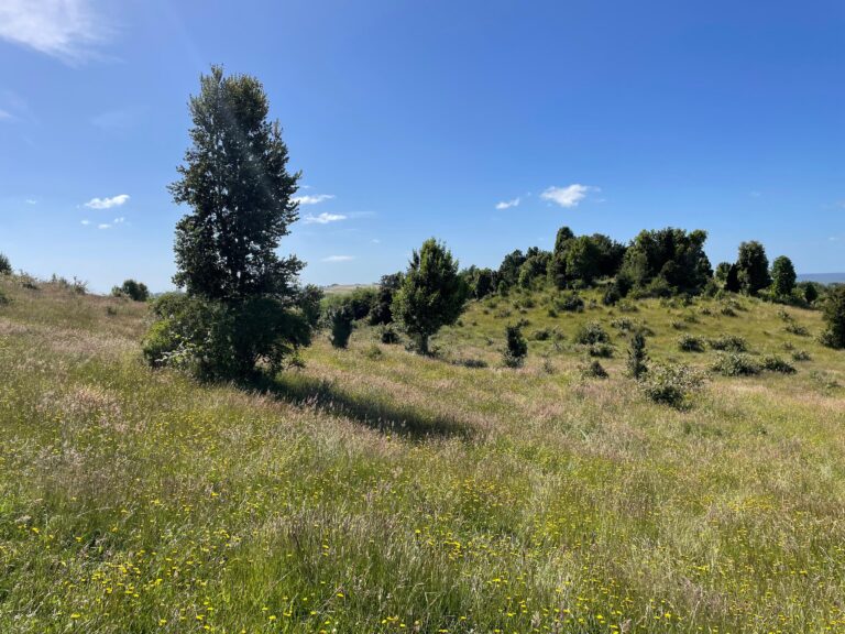 Imagen 2 Brisas de Misquihue